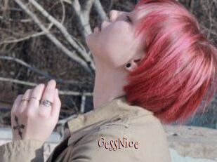 GessNice