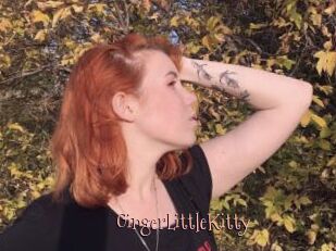 GingerLittleKitty