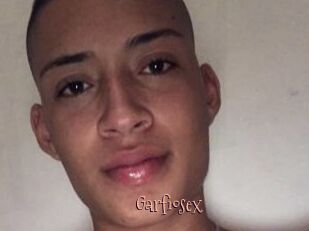 Garfiosex
