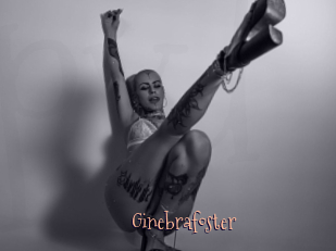 Ginebrafoster