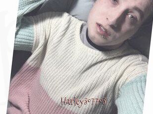 Harley307703