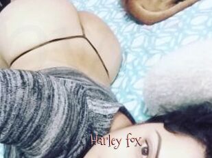Harley_fox