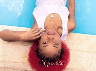 Hallybekker