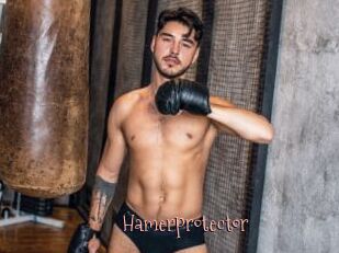 Hamerprotector