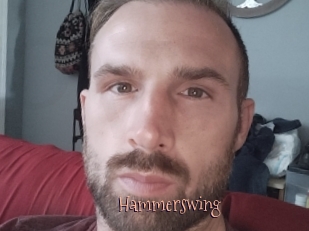 Hammerswing