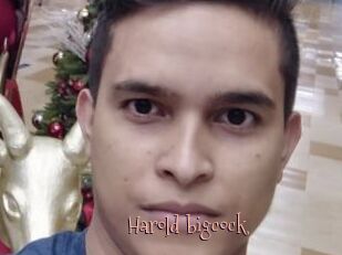 Harold_bigcock