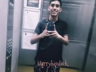 Harrybigdick