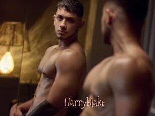 Harryblake