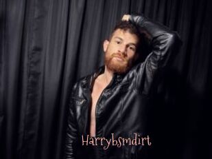 Harrybsmdirt