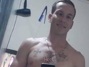 Hect