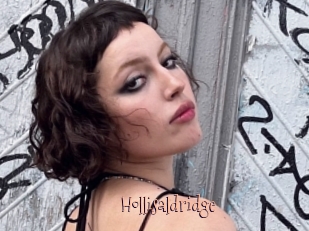 Hollisaldridge