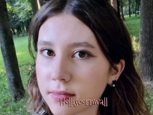 Holliscornwall