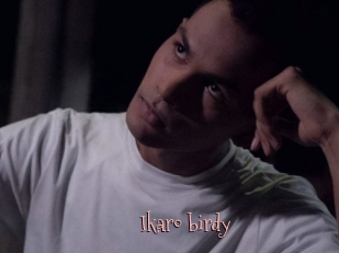 Ikaro_birdy