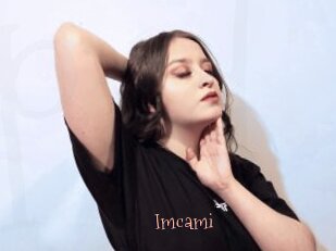 Imcami