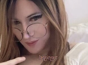 Imginger