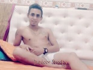 Junicco_Snoopy