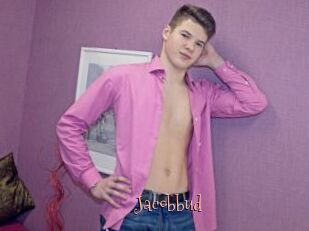 Jacobbud