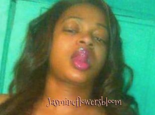 Jasmineflowersbloom