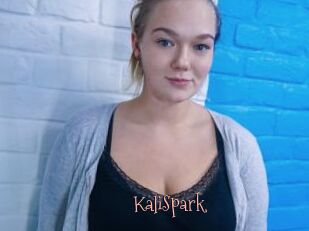KaliSpark