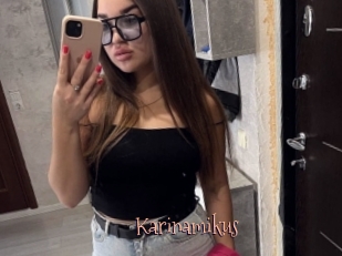 Karinamikus
