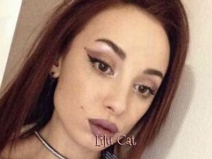 Lilu_Cat