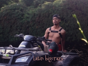 Latin_bigcrazy