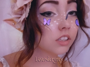 Lavendergrey