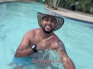 Levylatinobigcock