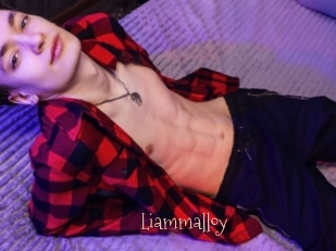 Liammalloy