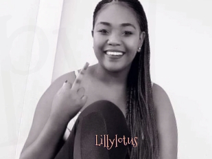 Lillylotus