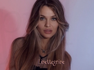 Linettegrine