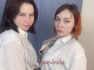 Lisaandmika