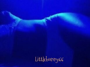 Littlebunny66