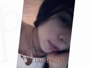 LittleflowerTS