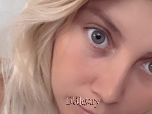 Littlesary