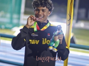 Luigispaez44