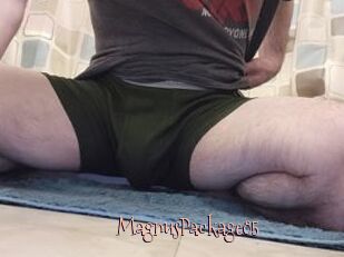 MagnusPackage85