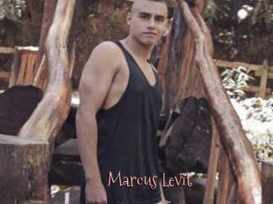Marcus_Levit