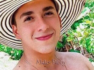 Mateo_Bunny