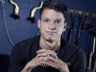 MaxHamintonn
