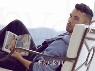 MiguelSanto