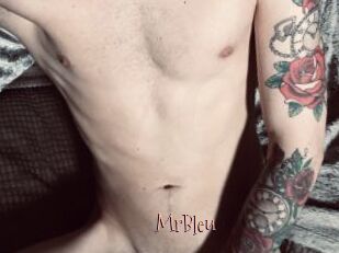 MrBleu