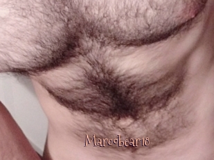 Marcobear18