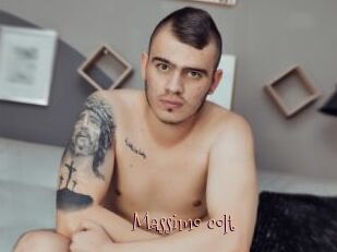 Massimo_colt