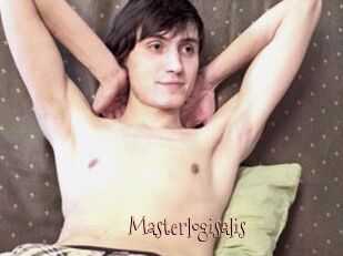 Masterlogisalis