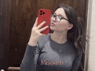 Melisatori