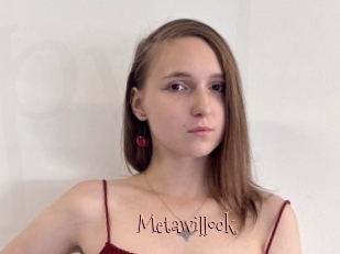 Metawillock