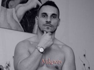 Mikewin