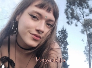Morgandahlia