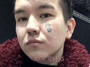 NATE_SPARKS